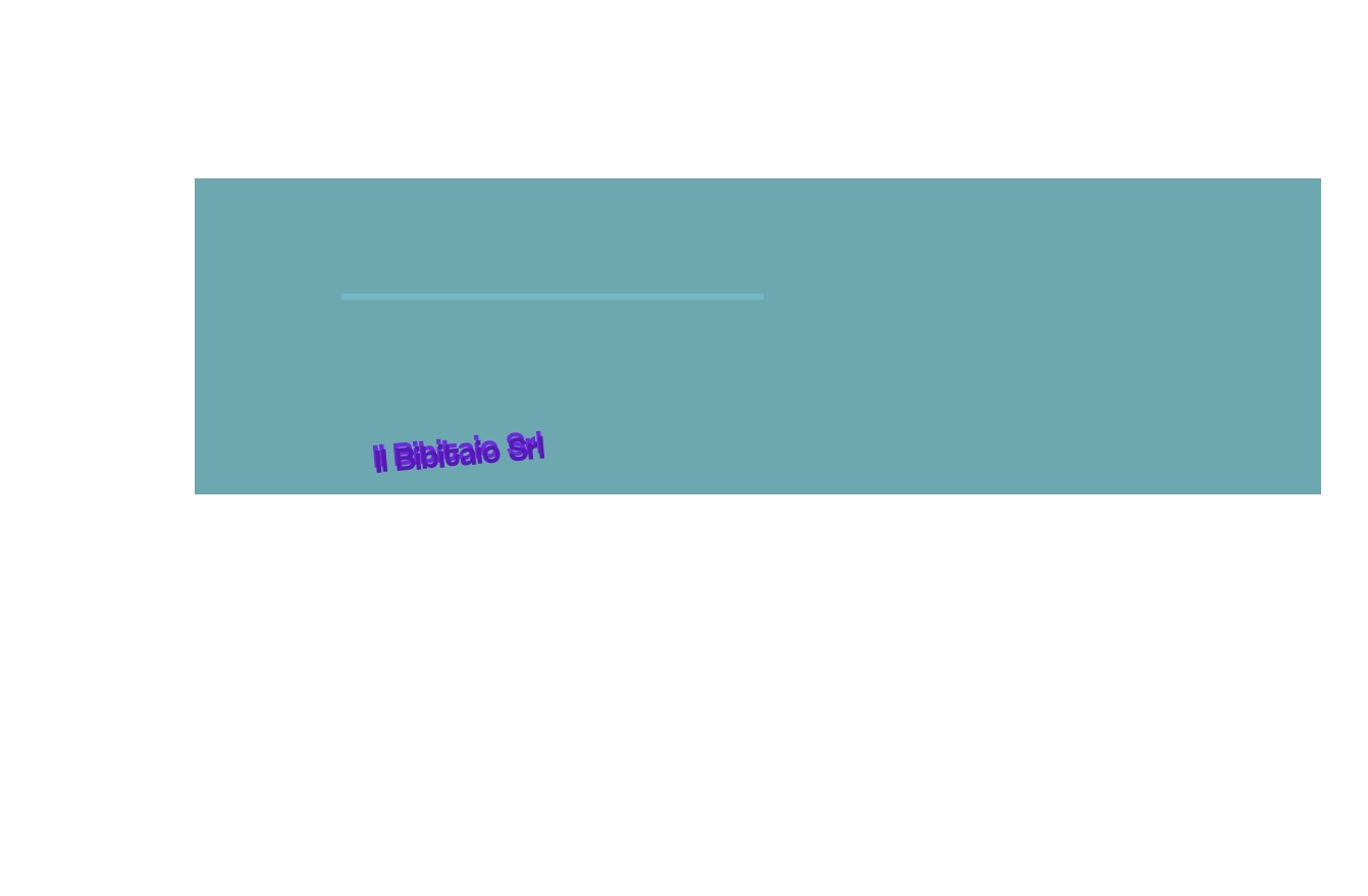 Il Bibitaio Srl