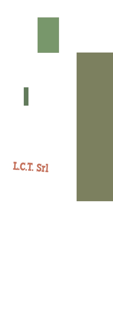 L.C.T. Srl