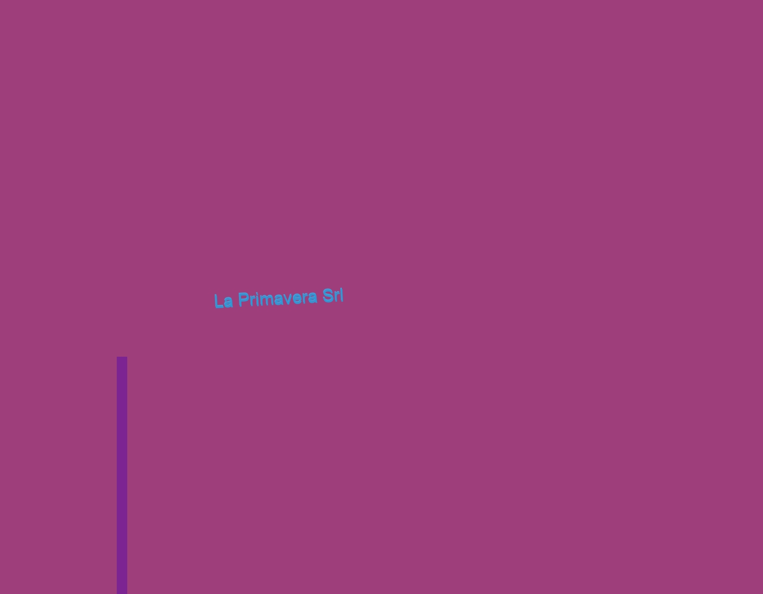 La Primavera Srl La Primavera Srl