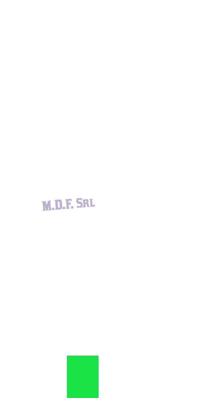 M.D.F. Srl