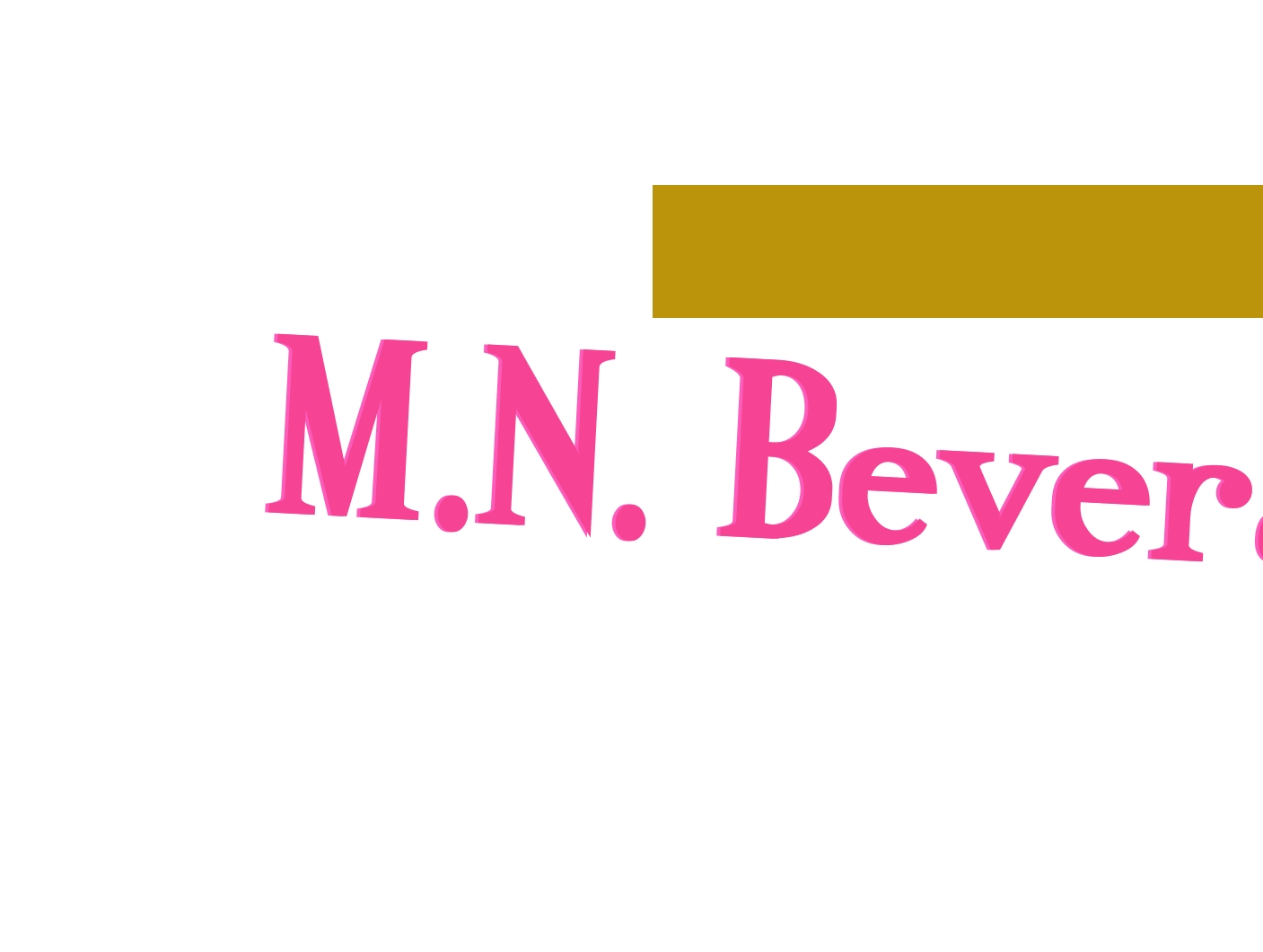 M.N. Beverage
