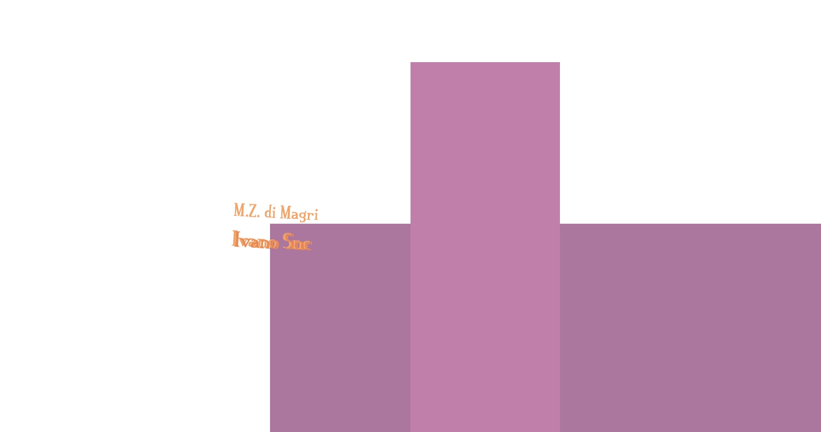 M.Z. di Magri Ivano Snc