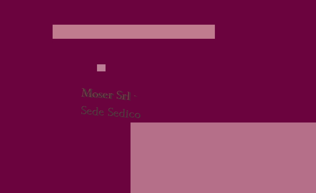 Moser Srl - Sede Sedico