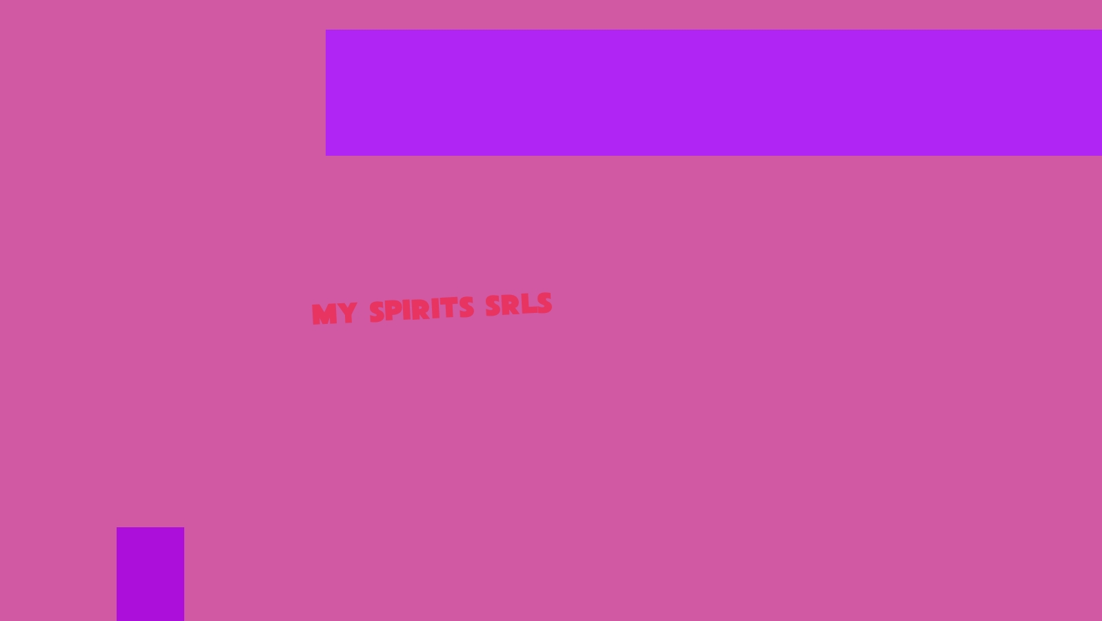 My Spirits Srls My Spirits Srls