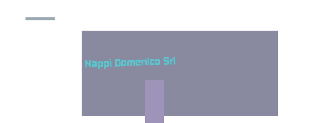 Nappi Domenico Srl