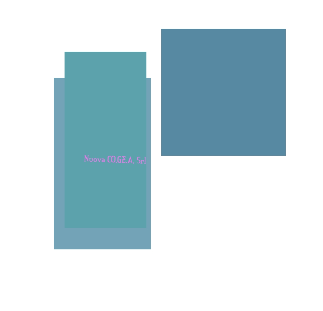 Nuova Co.Ge.A. Srl
