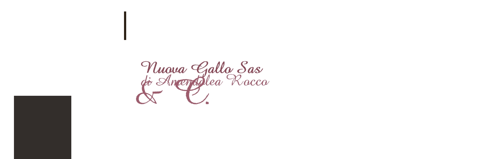 logo Nuova Gallo Sas di Amendolea Rocco & C.