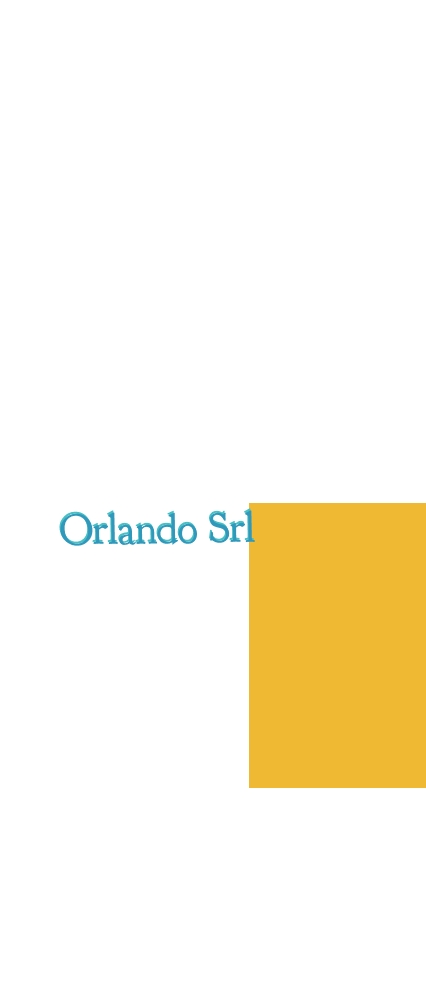 Orlando Srl