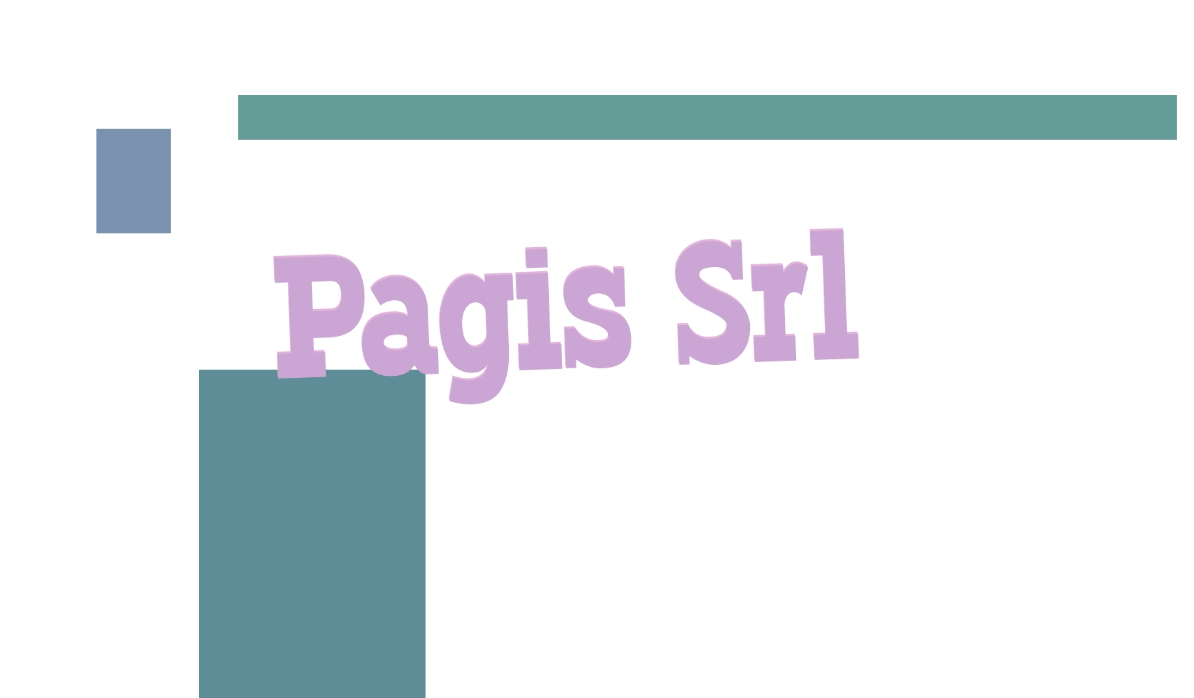 Pagis Srl