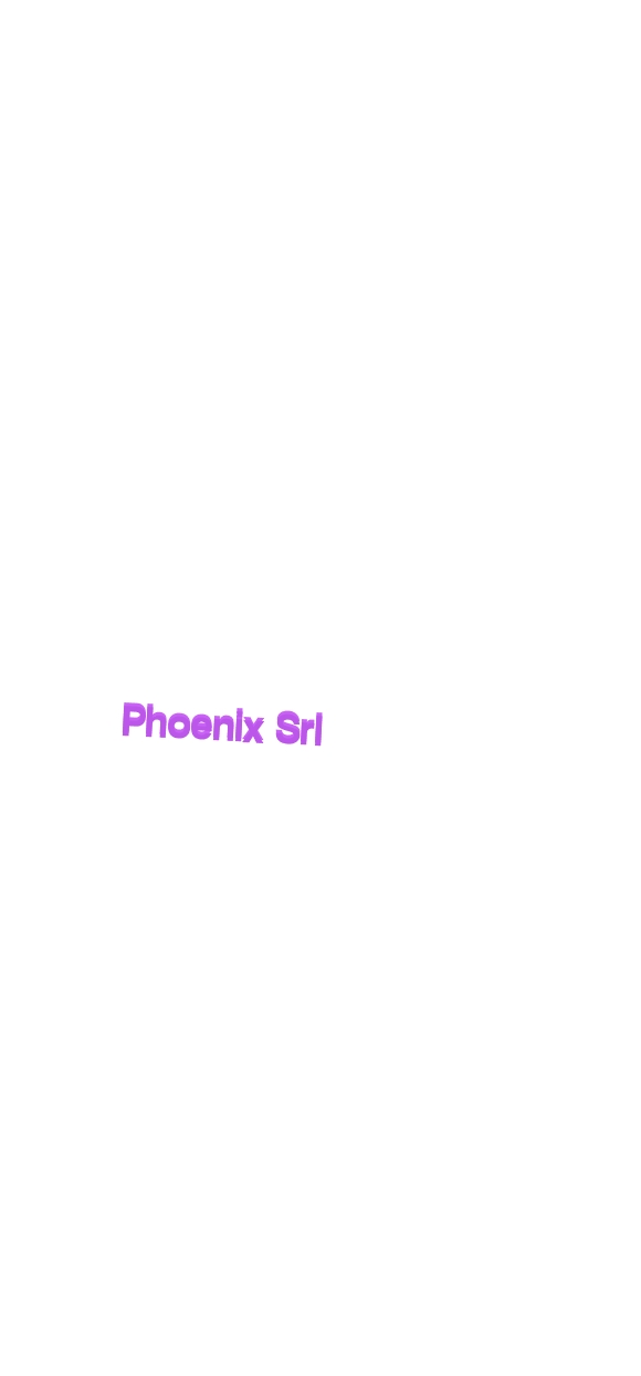 Phoenix Srl