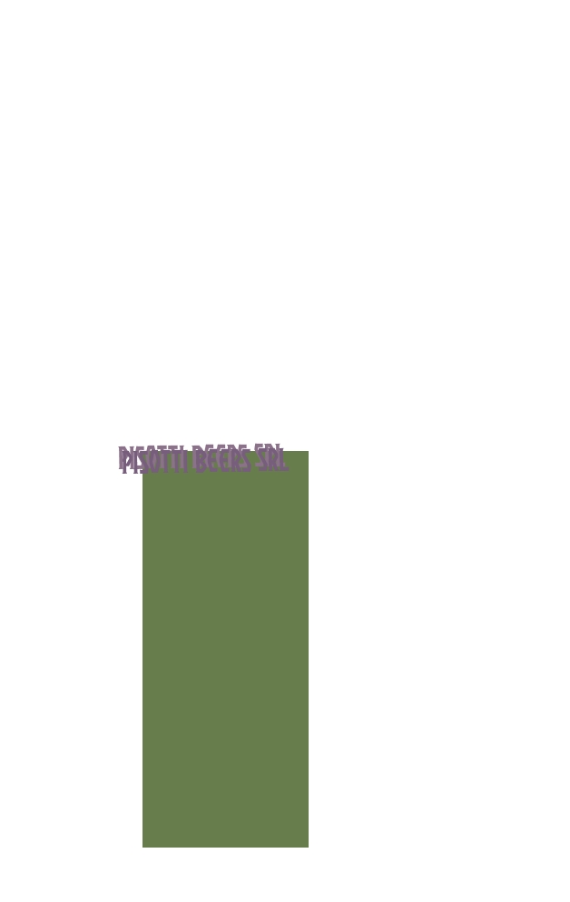 PISOTTI BEERS S.R.L.