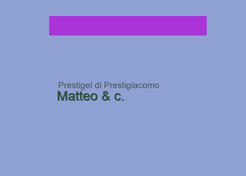 Prestigel di Prestigiacomo Matteo & c. Prestigel di Prestigiacomo Matteo & c.
