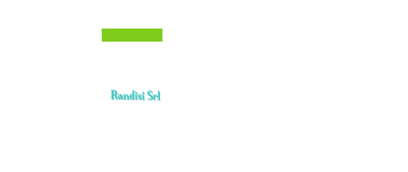 Randisi Srl