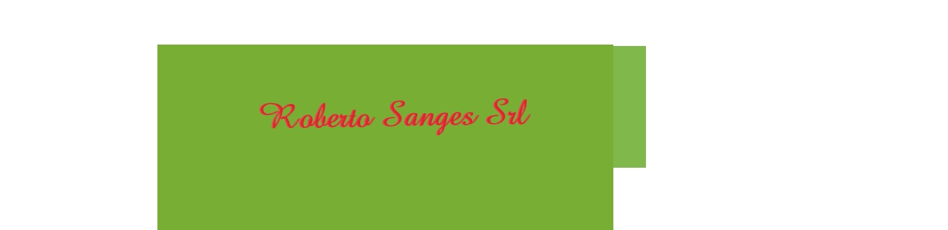 logo Roberto Sanges Srl