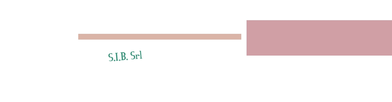 S.I.B. Srl