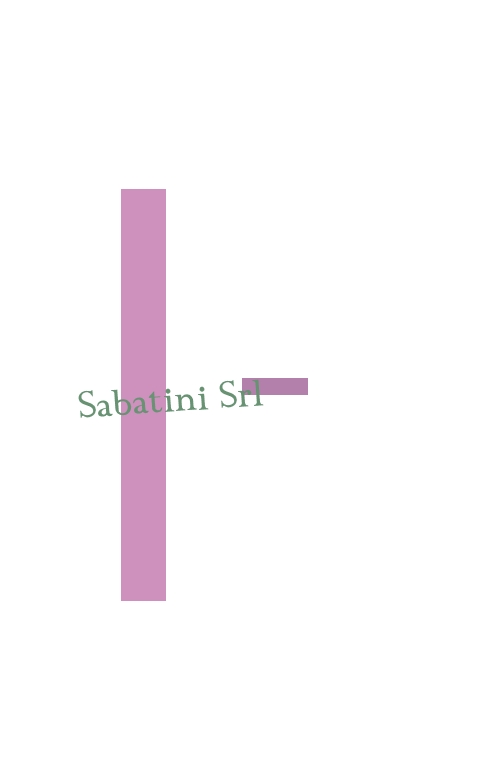 Sabatini Srl Sabatini Srl