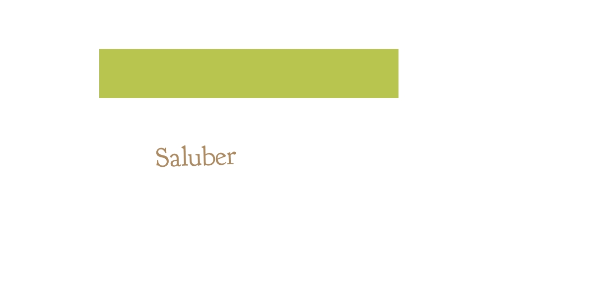 logo Saluber