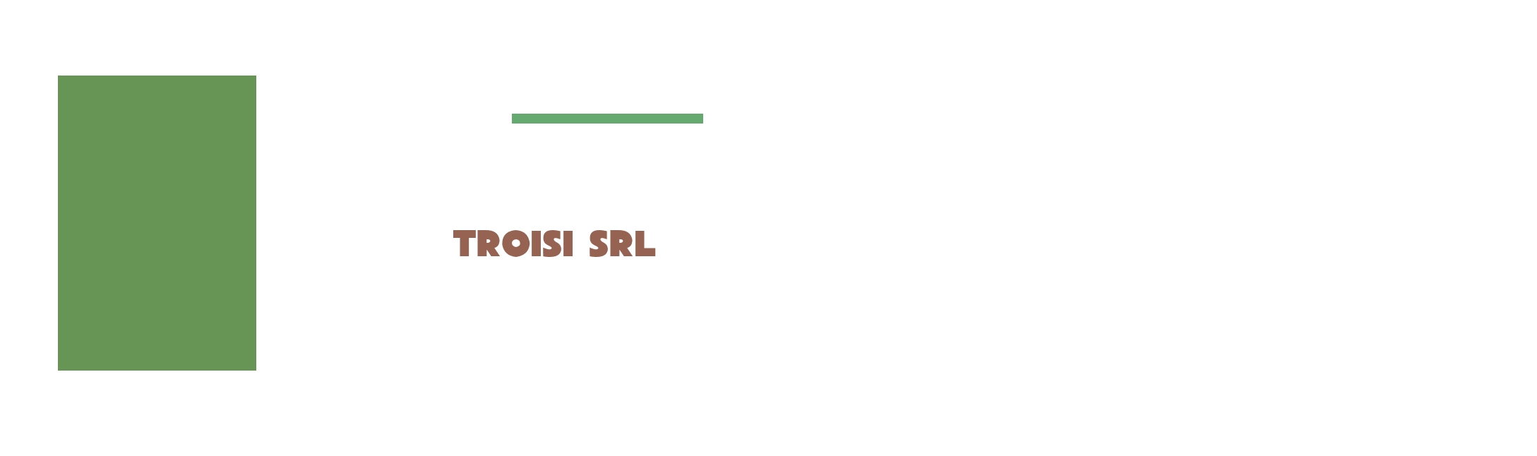 Troisi Srl Troisi Srl