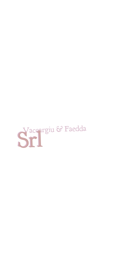 Vaccargiu & Faedda Srl