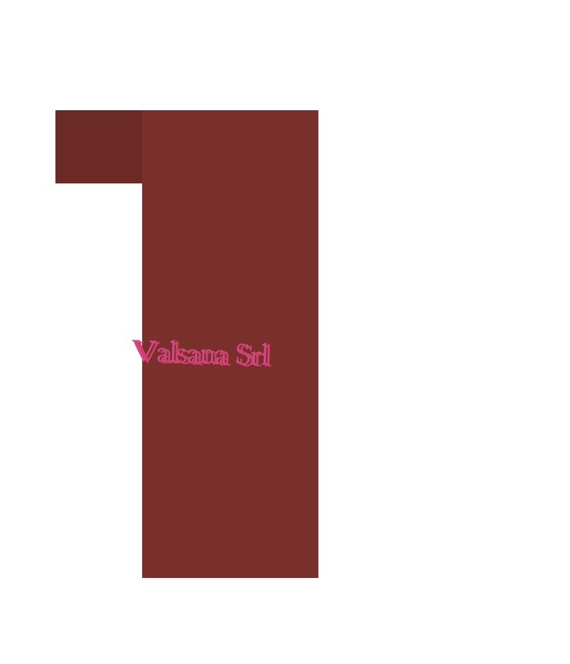 logo Valsana Srl