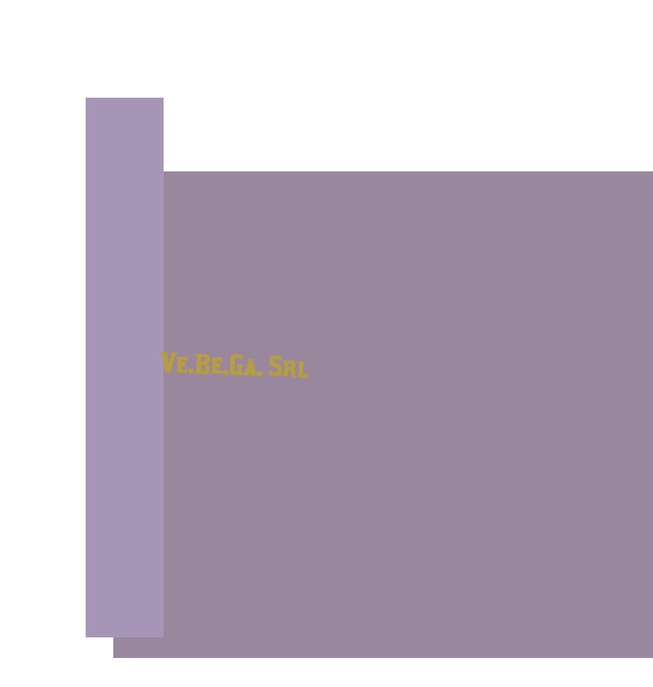 Ve.Be.Ga. Srl