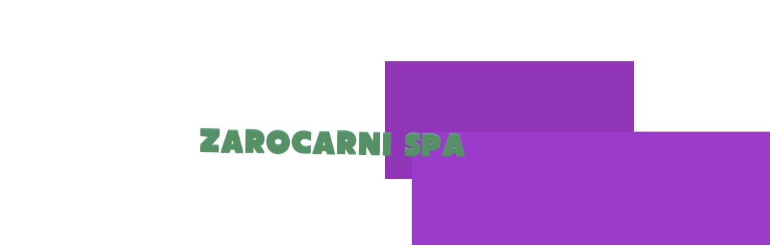 logo Zarocarni Spa