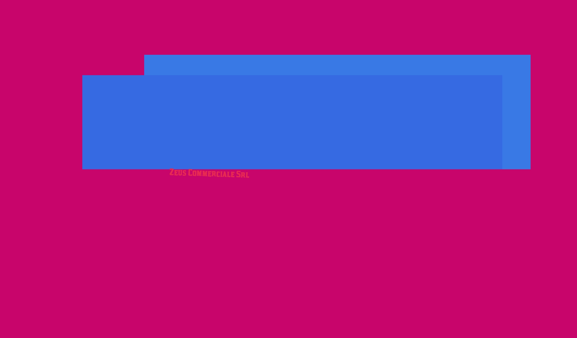 Zeus Commerciale Srl
