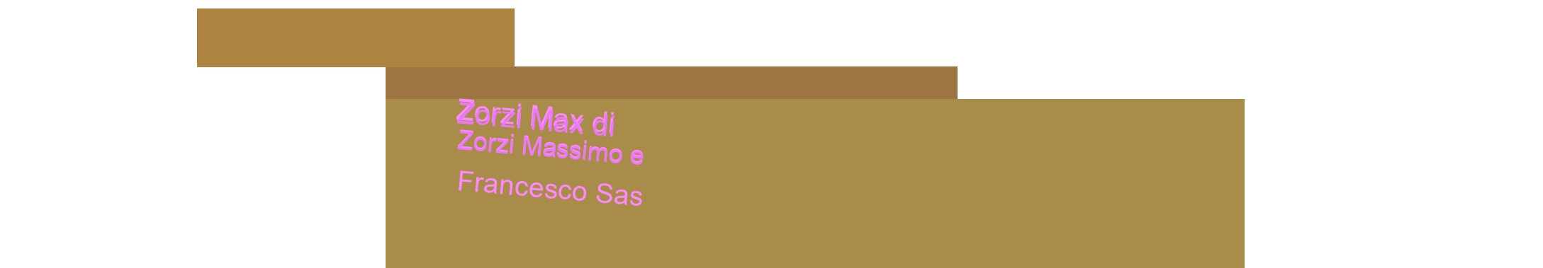 Zorzi Max di Zorzi Massimo e Francesco Sas