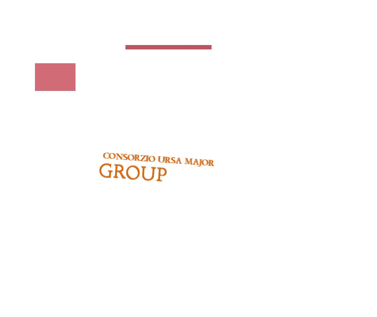 CONSORZIO URSA MAJOR GROUP