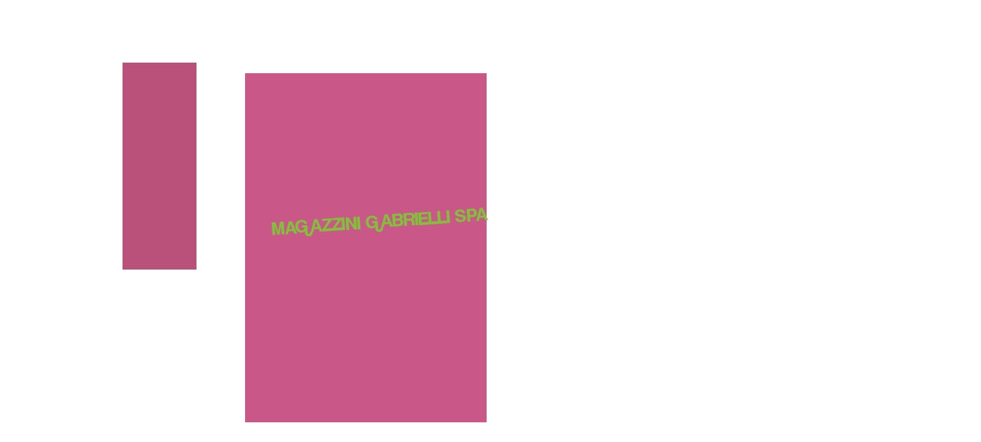 MAGAZZINI GABRIELLI SPA