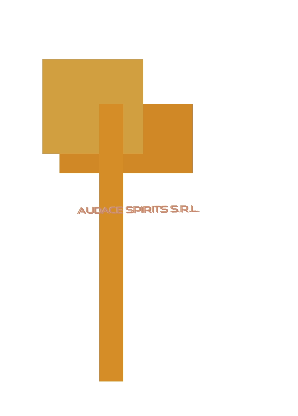 Audace Spirits S.r.l.