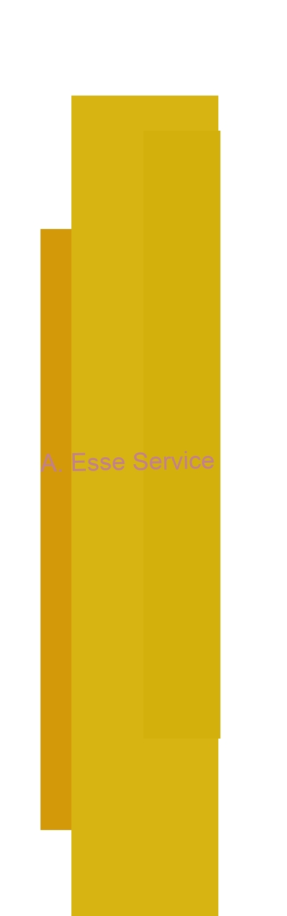 logo A. Esse Service