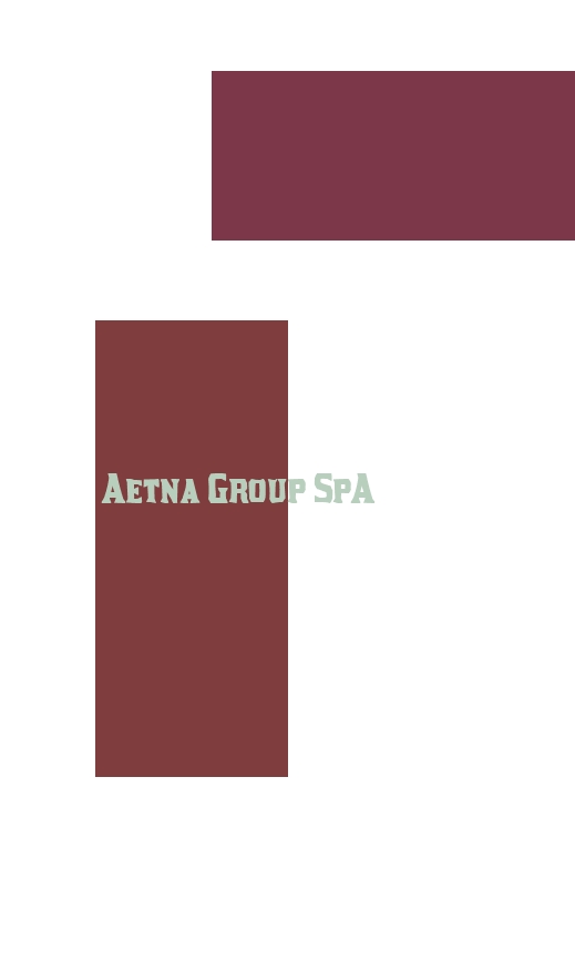 Aetna Group SpA