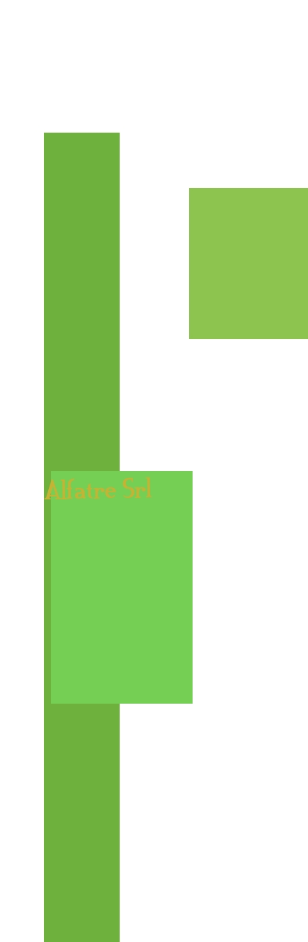 Alfatre Srl Alfatre Srl