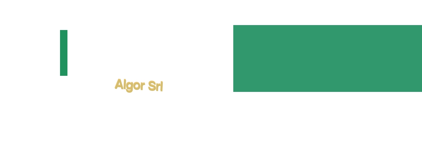 Algor Srl Algor Srl