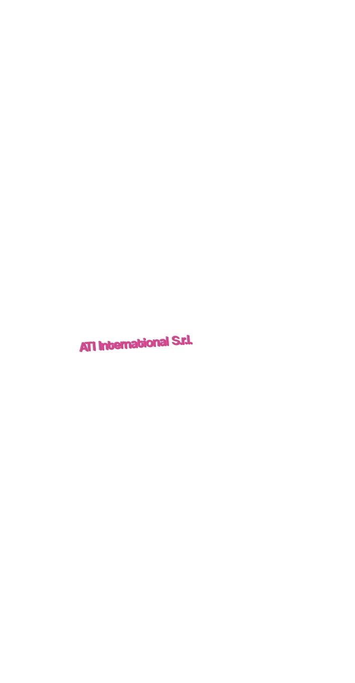 ATI International S.r.l. ATI International S.r.l.