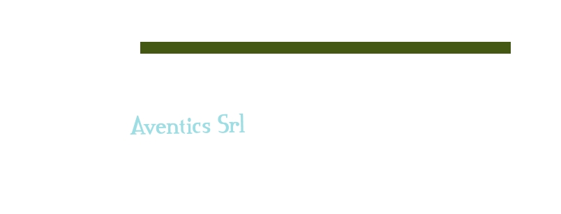 Aventics Srl Aventics Srl