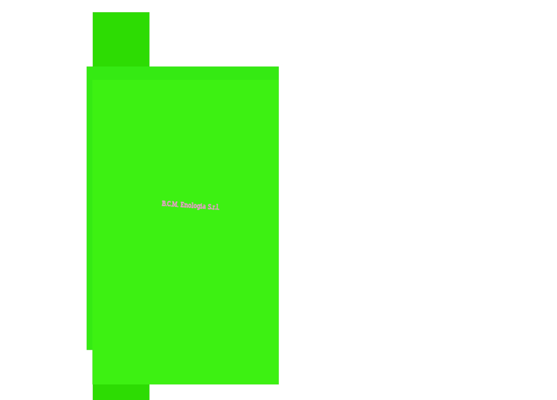B.C.M. Enologia S.r.l.
