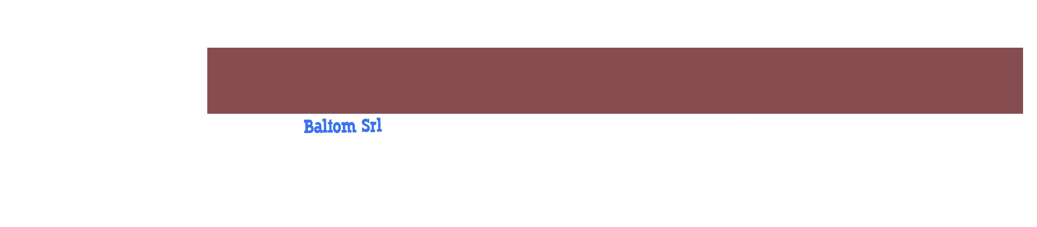 Baltom Srl