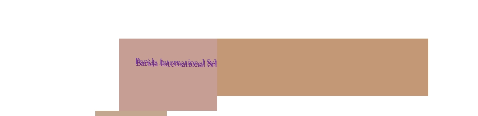 Barida International Srl