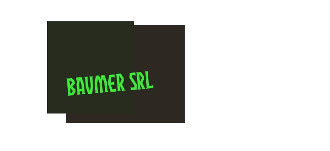 Baumer Srl