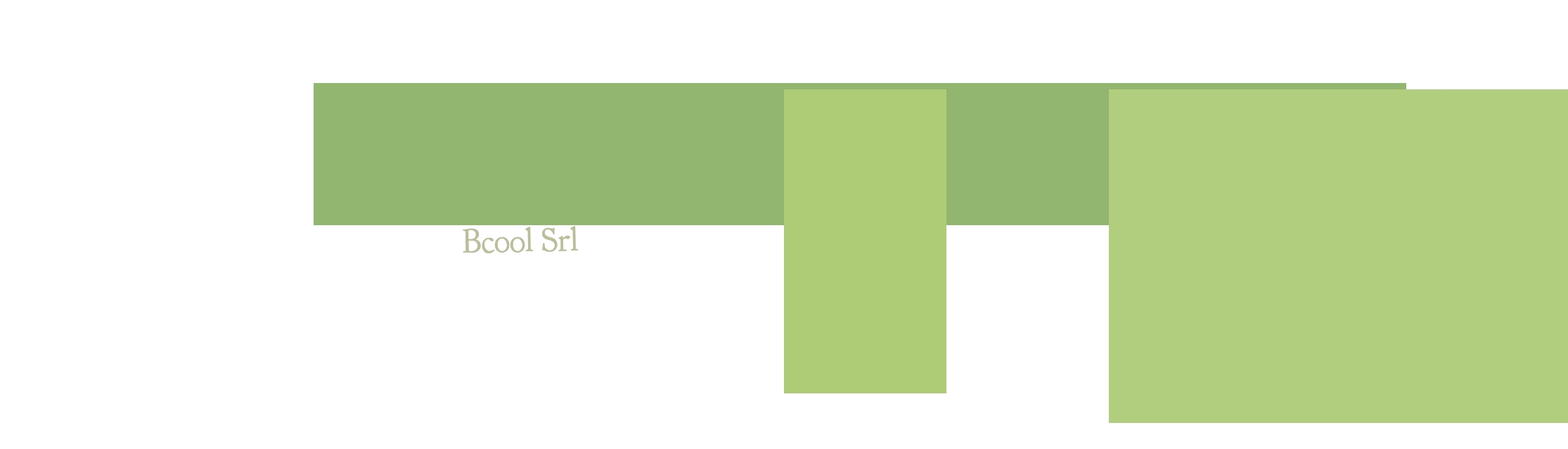 Bcool Srl