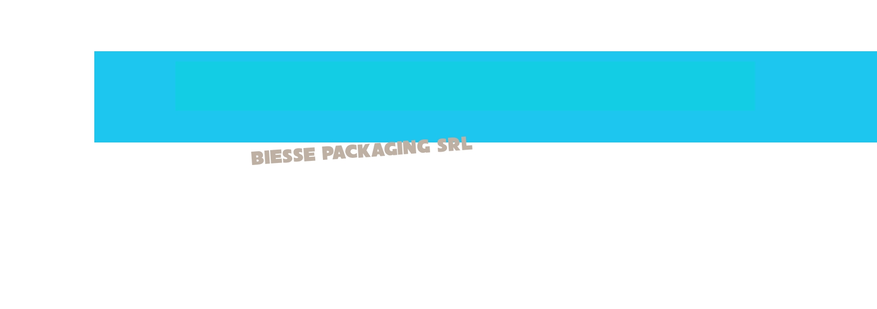 Biesse Packaging Srl