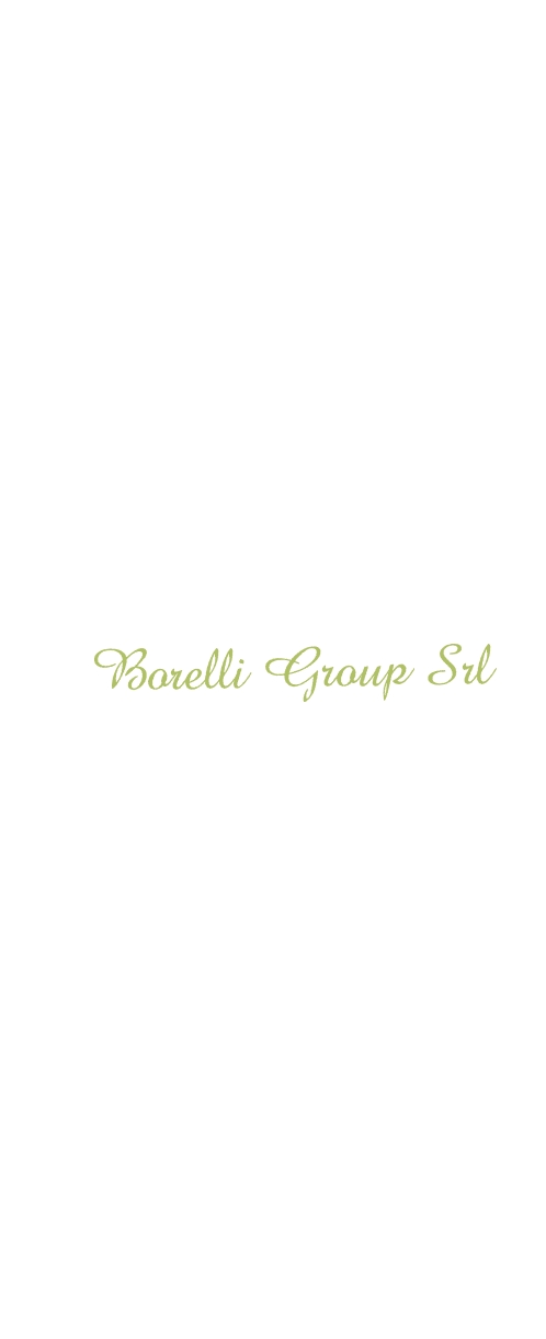 Borelli Group Srl