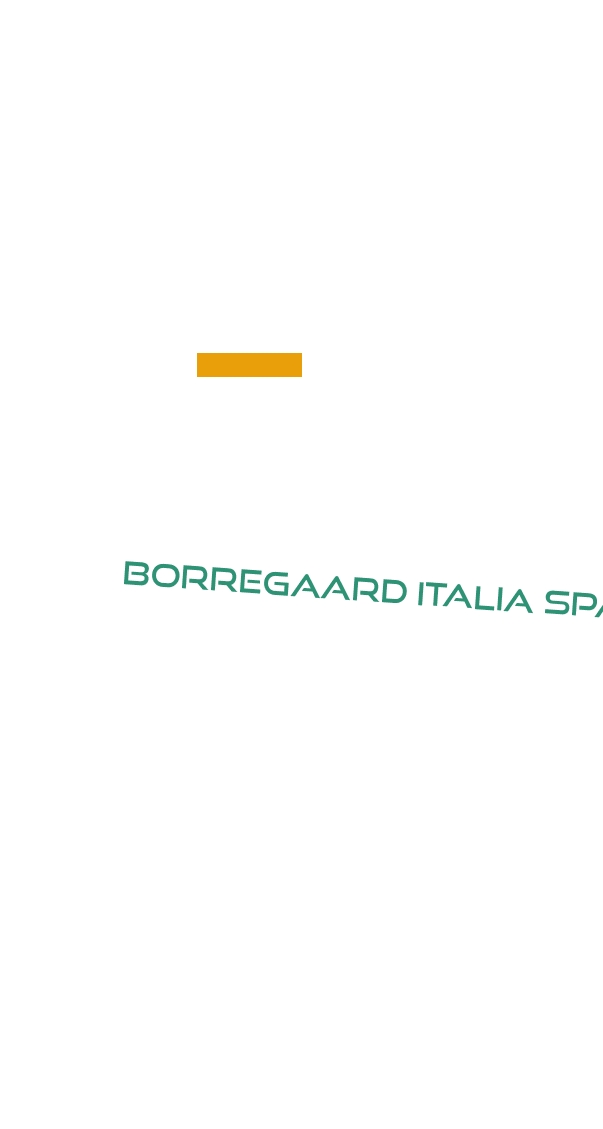 Borregaard Italia SpA