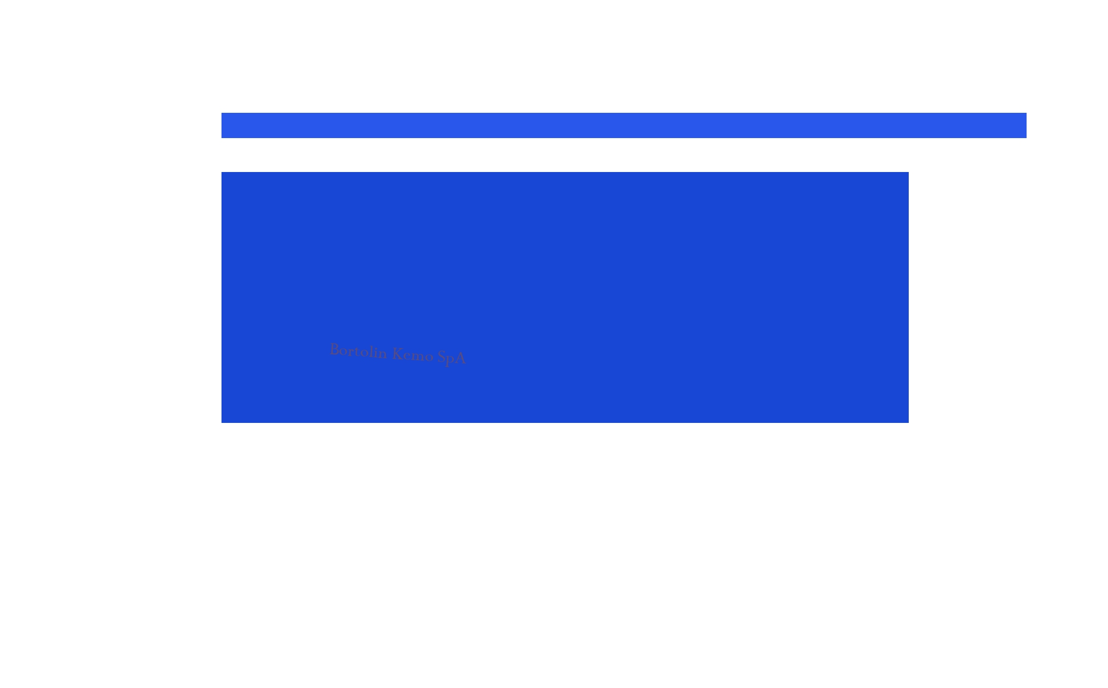 Bortolin Kemo SpA