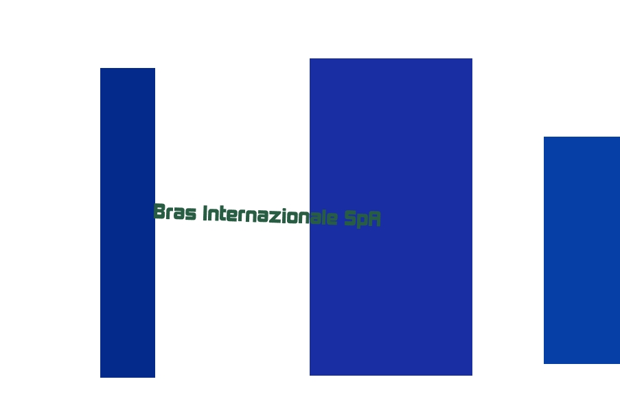 Bras Internazionale SpA