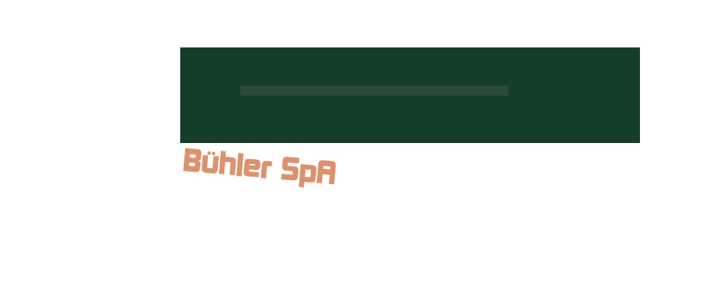 Bühler SpA