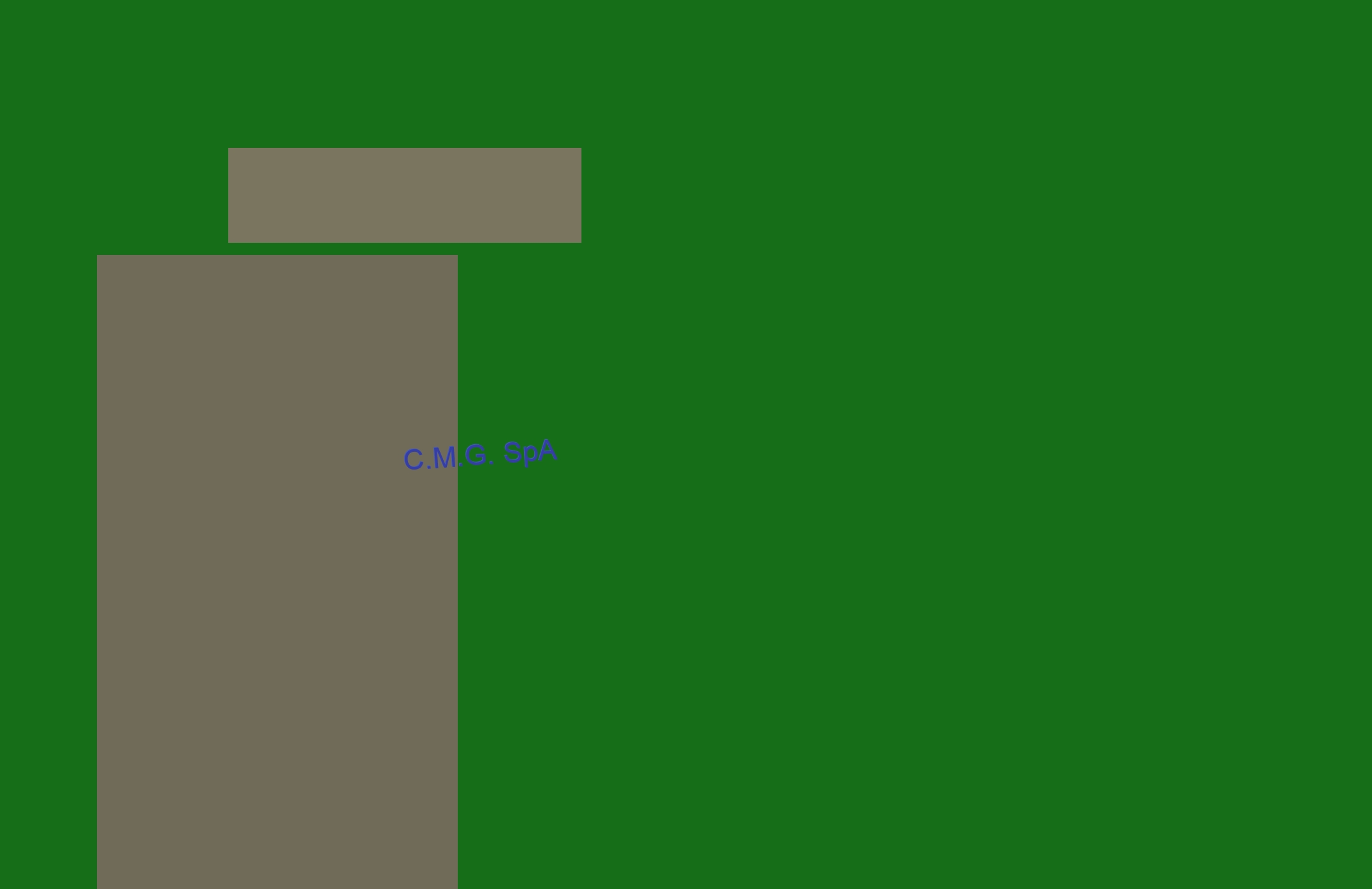 C.M.G. SpA