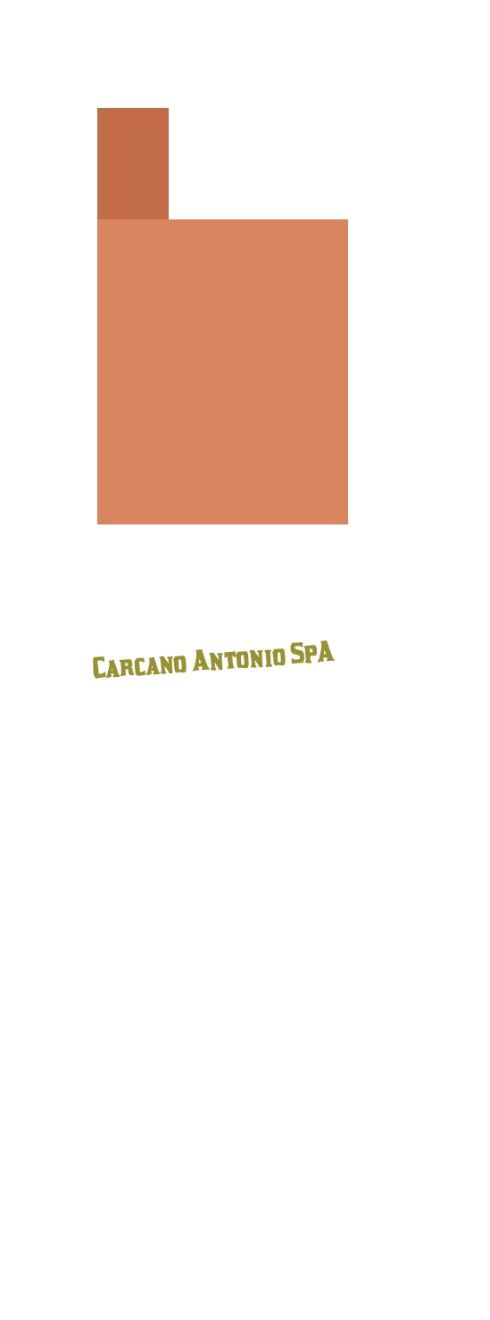 Carcano Antonio SpA